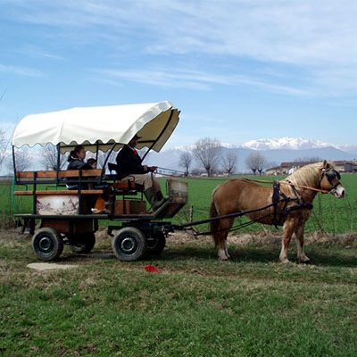 GIRO ROMANTICO in CARROZZA OFFERTO all’EXPO SPOSI IN di STUPINIGI
