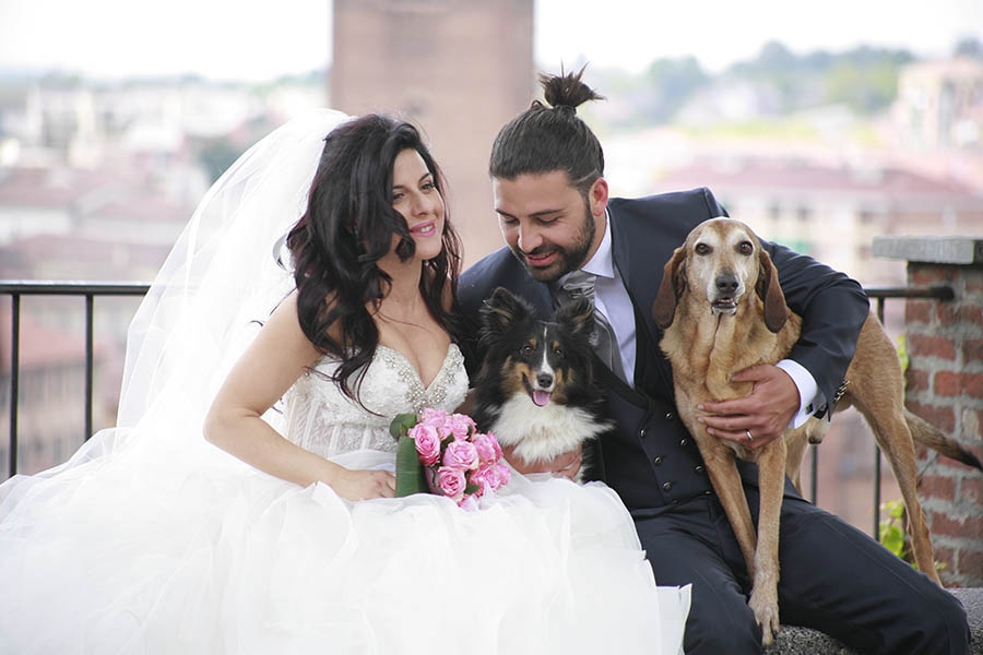 con-sposi-in-e-dogland-camp-anche-fido-protagonista-delle-nozze-900