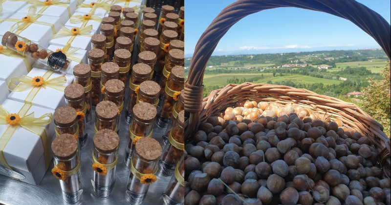 Noccioleria Martini Quinneventi 800